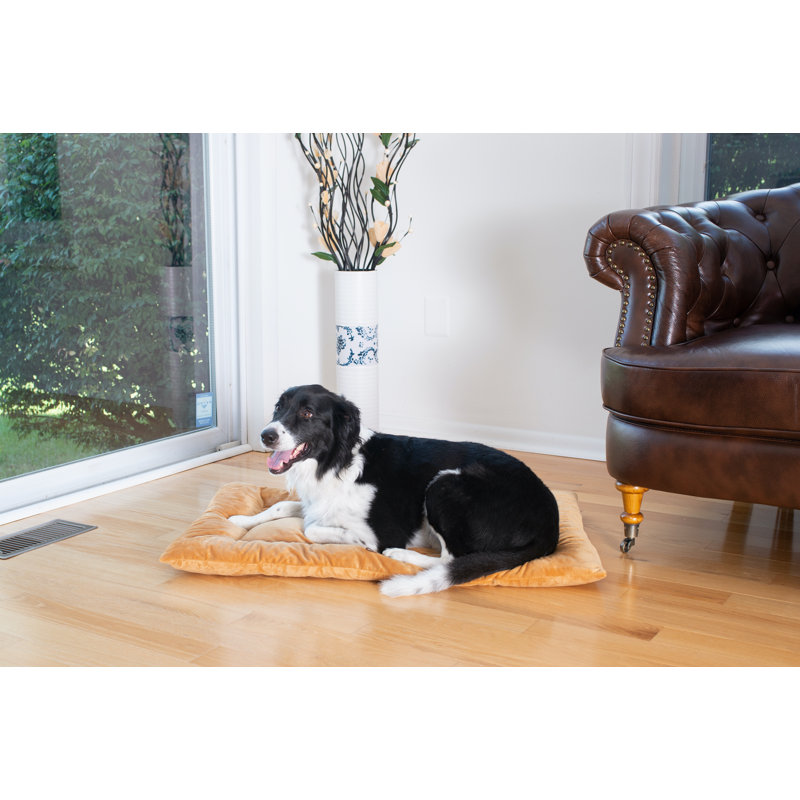 Tapis pour chien en velours doux, Moyen (l 27 po x P 19 po x H 2 po), Brun