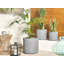 Aristea Pot Planter-760556187-760556188