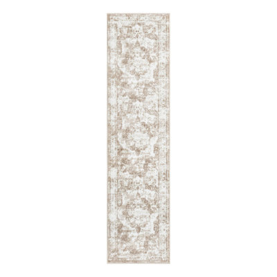 Coblitz Oriental Indoor Rug