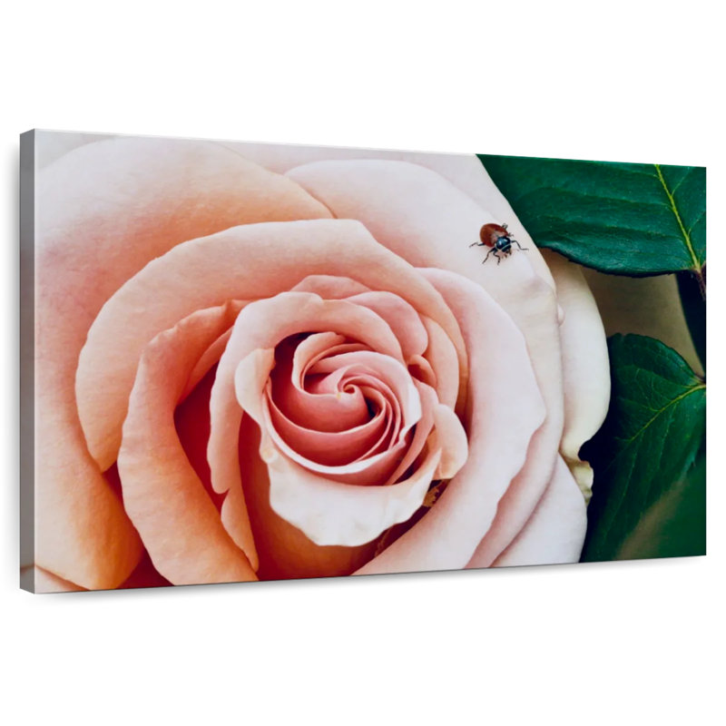 Brampt Ladybug On A Rose II, 32" H x 48" W