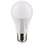 9 Watt LED Bulb