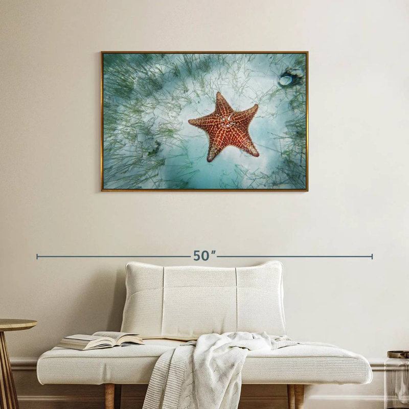 Étoile de mer peu profonde, Cadre flottant doré, 37 po x 25 po