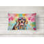 Other/No Pattern Outdoor Throw Pillow