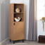 Nathainel Metal 1 - Door Rectangle Accent Cabinet