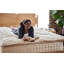 Surmatelas en laine biologique 3 po Wooly-132264313