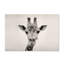 Courious Gariffe Print-61693763-66807223