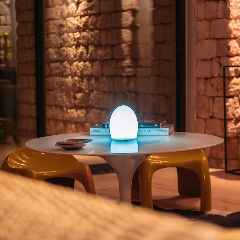 Point Battery Powered Integrated LED Color Changing Outdoor Table Lamp