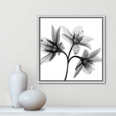 Collection Twins & Trio «Daffodil Trio - Square Version» par Albert Koetsier
