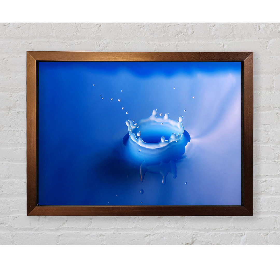 Splash Milk Blue - Druck