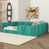 Pumpkin Green est en rupture de stock