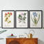 Nature imprimé Botanicals vii - impression sur mesure encadrée de qualité supérieure - 3 pièces-728451892-728451894