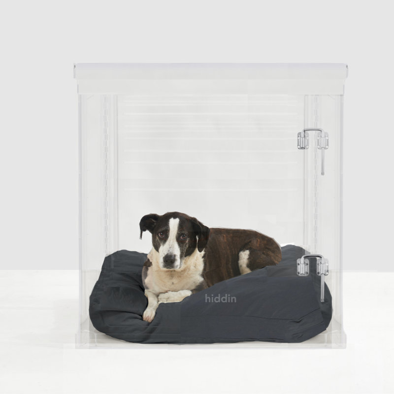 Large Clear View Pet Crate with Silver Latch, Charcoal