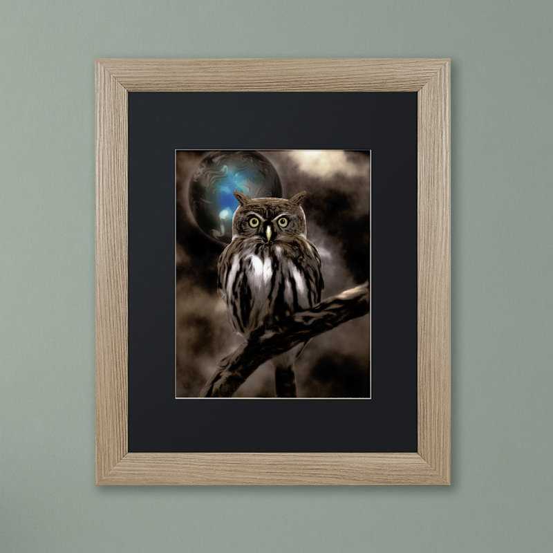 «Jadaya Night Owl» par Color Bakery, impression encadrée, Blanc, H 20 po x l 16 po x P 0,5 po, Toile encadrée noire
