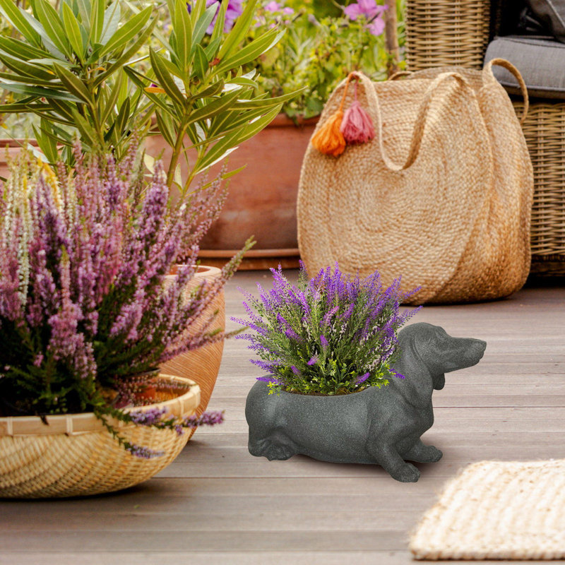 Dog Oval Plant Pot L50.5 W16.5 H27 Cm, 7.7 Liters