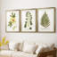 Nature Printed Botanicals douzième-257825203-257825215