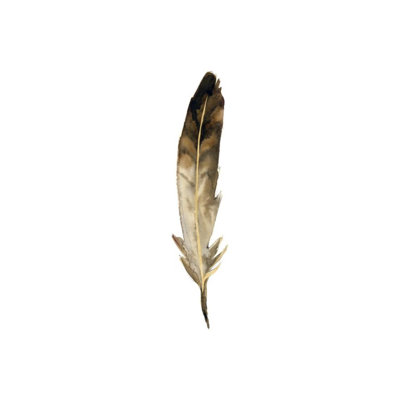 «Fall Feathers VI» par Elena Carlie - Peinture sur toile