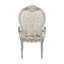 Bently Fabric Arm Chair (Set Of 2)