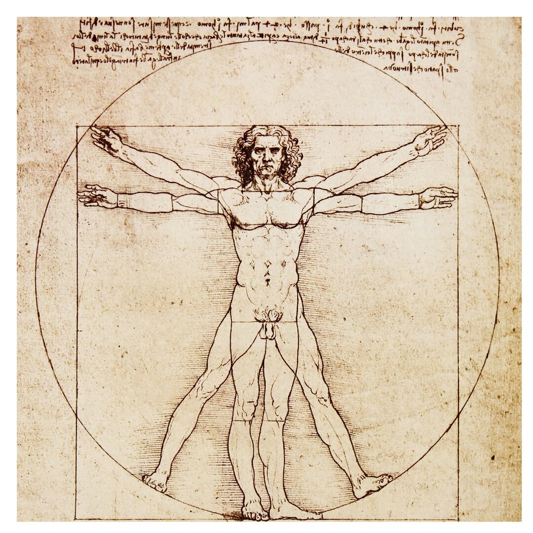 Fototapete Da Vinci