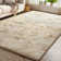 Allesha Standard Shag Area Rug