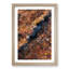 Forest in Piedimonte Matese Italy - Framed Print-55577789-55577790