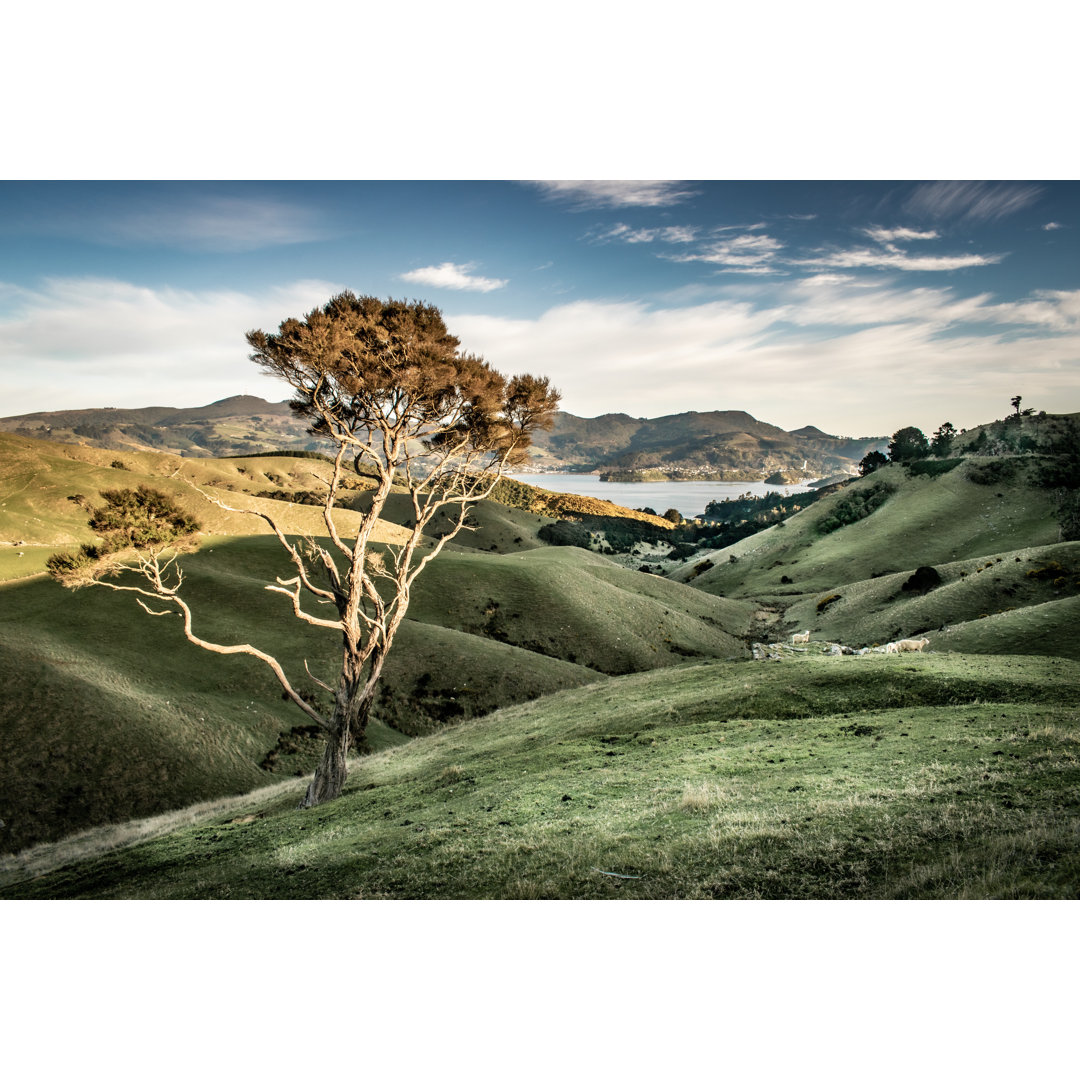 Port Chalmers bei Sonnenaufgang