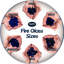 10 Lb. Fire Glass-759333441-759333465