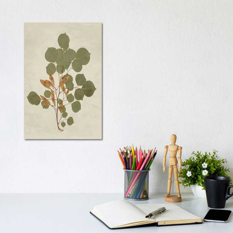 Botanical Leaves III, 30.48 cm H x 20.32 cm W x 1.905 cm D, Does Not Apply