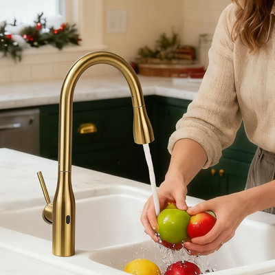 Robinet de cuisine rétractable à poignée simple avec plaque de pont