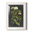 Ex-libris floral I de qualité supérieure avec cadre mat - prêt à être accroché-231560030-231560028