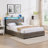 Althea Upholstered Platform Bed-2024425905-2024425904