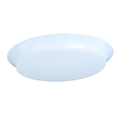 Plafonnier encastré pour cuve simple 15,75 po 1-light Hyder