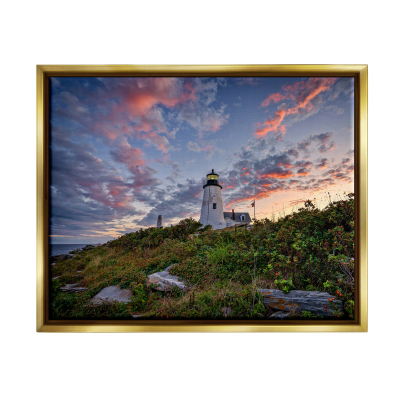 Art nautique sur toile flottant, "Nuage rose" par Rick Berk, H 25 po x l 31 po x P 1,7 po, Cadre flottant métallique doré