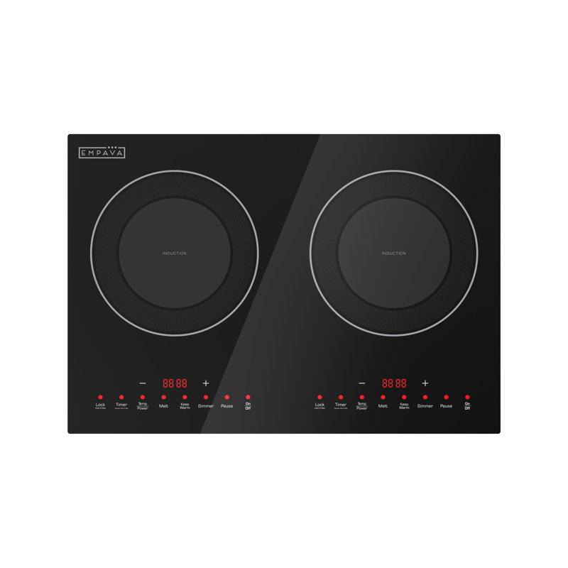Élément chauffant portatif 20 po Empava, 1800 W, surface de cuisson à induction intégrée, 120 V 