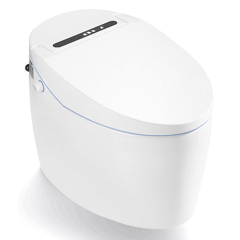 VIBRANTBATH GPF Elongated Bidet Toilet (Seat Included)