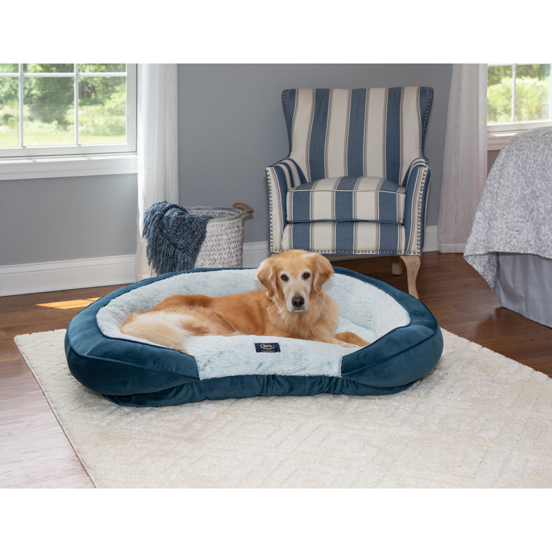 Canapé-lit ovale en mousse viscoélastique déchiquetée Serta, Bleu, Grand (l 36 po x P 28 po x H 8 po)
