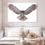 Owl Power-107703798