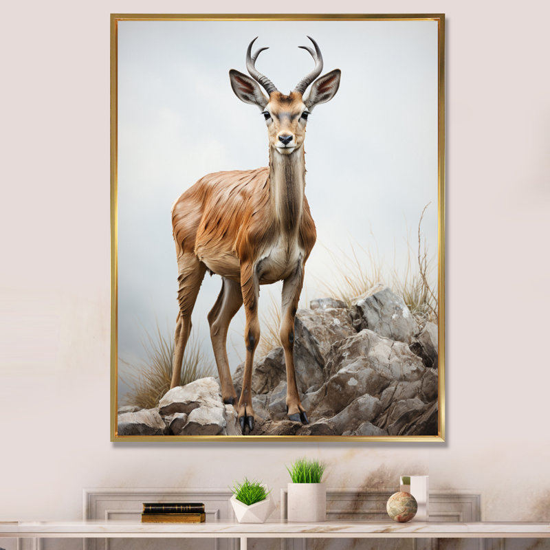 Graceful Antelope III - Imprimé, H 32 po x l 24 po x P 1 po, Cadre flottant doré