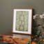 William Morris, reproduction encadrée CL XXXVI-408967008-408967013