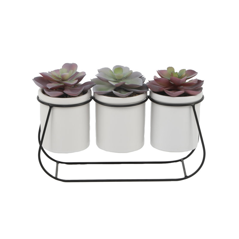 Ensemble de 3 plantes grasses artificielles en pot