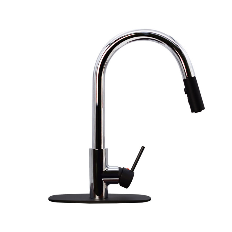 Dual Spray Push Button Mode Kitchen Faucet with Pull Down Sprayer Head, Polished Chrome/Matte Black