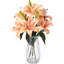 Ensemble de 20 pièces de lis de Calla artificiel avec vase en verre et eau artificielle pour la décoration intérieure-1044957318