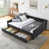 Black est en rupture de stock