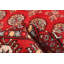 Tapis rouge Malechi Peshawar Bokhara 8 pi 2 po x 10 pi 0 po