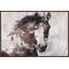 « Gorgeous Horse » d'Irena Orlov - impression sur toile-1727667860-1619713719-1620515218