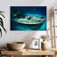 Naufrage de Senne Kittiwake-108694639