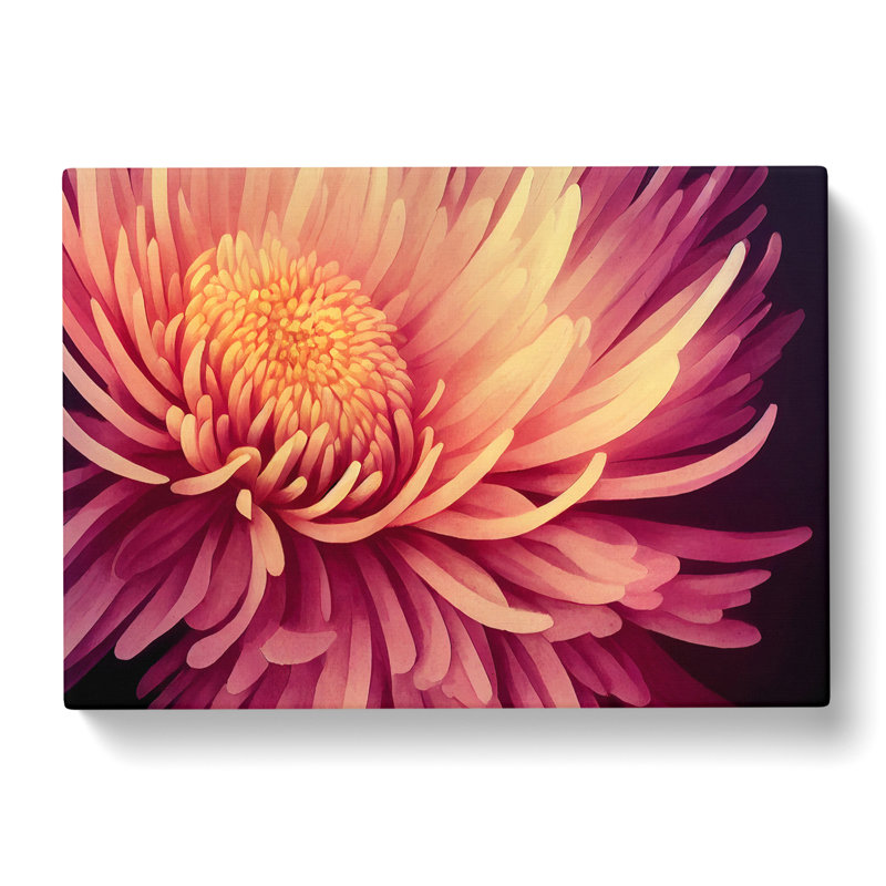 Contemporary Chrysanthemum Flower - Wrapped Canvas, 35cm H x 50cm W x 3cm D