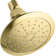 Forté 1.75 GPM Single-Function Showerhead with Katalyst(R) Air-Induction Technology