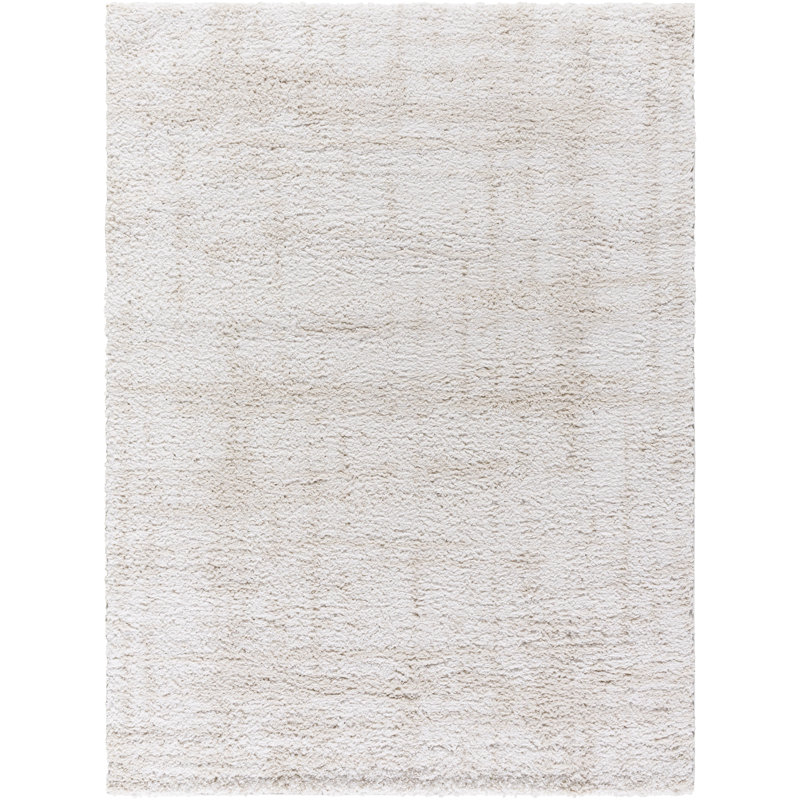 Terle Plush Area Rug, Rectangle 5'3" x 7'