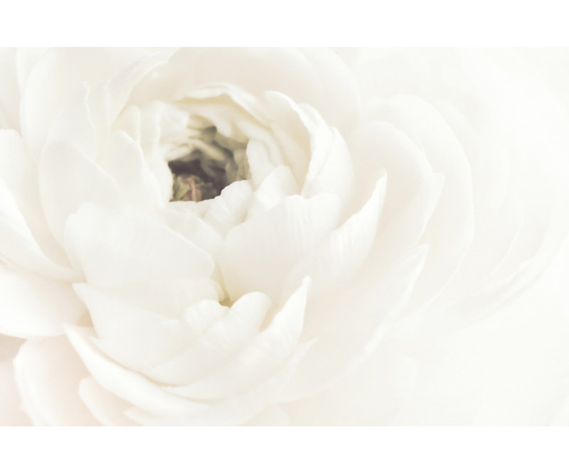 Wrapped Canvas Print, 60.96 cm H x 91.44 cm W