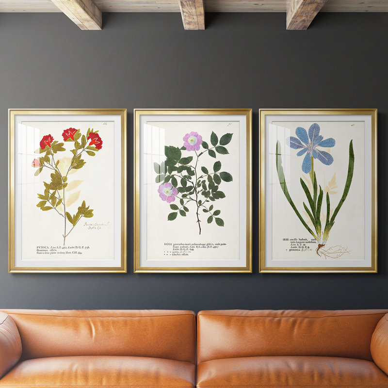 Nature imprimé Botanicals vii - impression sur mesure encadrée de qualité supérieure - 3 pièces, H 21 po x l 30 po, Doré